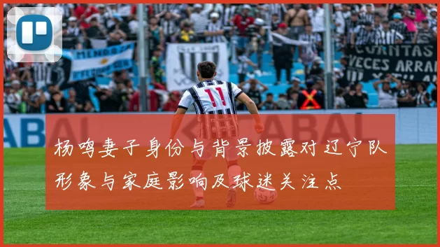 杨鸣妻子身份与背景披露对辽宁队形象与家庭影响及球迷关注点